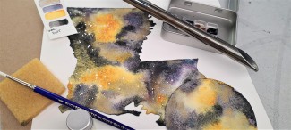 Paint Your State Kit in WhoDat